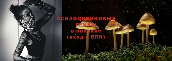 стафф Горняк