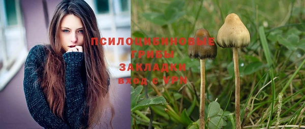 стафф Горняк